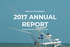 2017 Annual Report Thumbnail