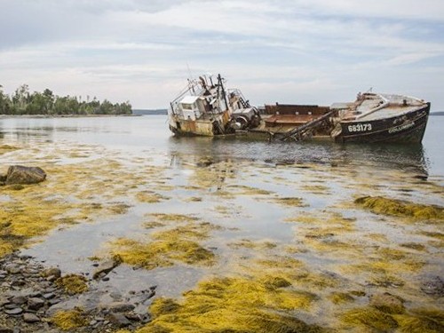 State of Maine, Department of Agriculture, Conservation & Forestry, Bureau of Parks & Lands