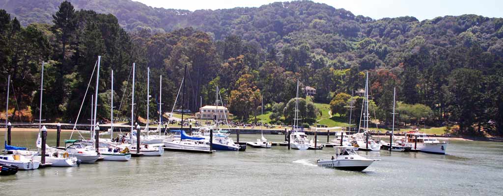 a marina on a hillside, with a boat departing for the sea