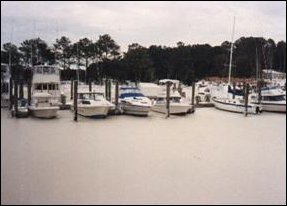 a marina of boats with snow atop the water