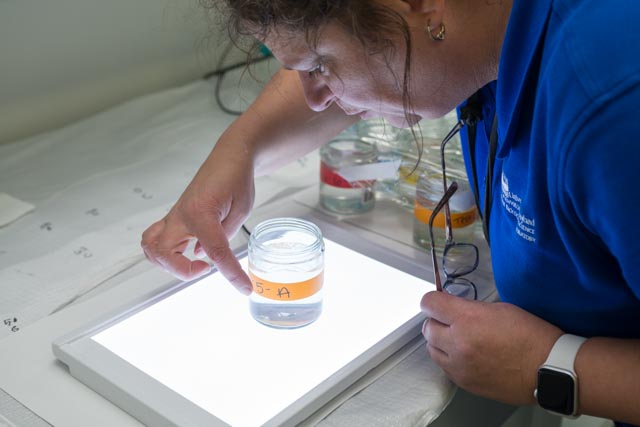 Testing in the lab