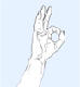 Hand signal for OK or signal understood: OK signal with hand
