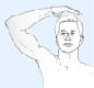 Hand signal for return to dock: Pat on the head